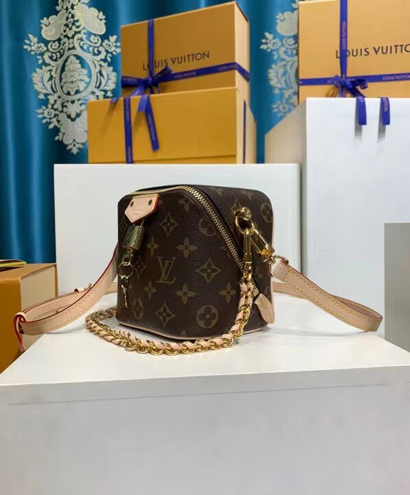 Louis Vuitton JUST IN CASE bag Brown